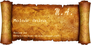 Molnár Anina névjegykártya